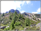 foto Forcella delle Tavarade